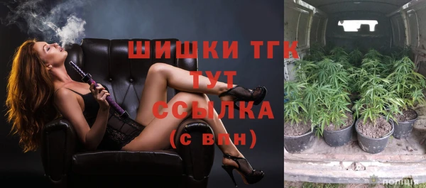 мяу мяу мука Абаза