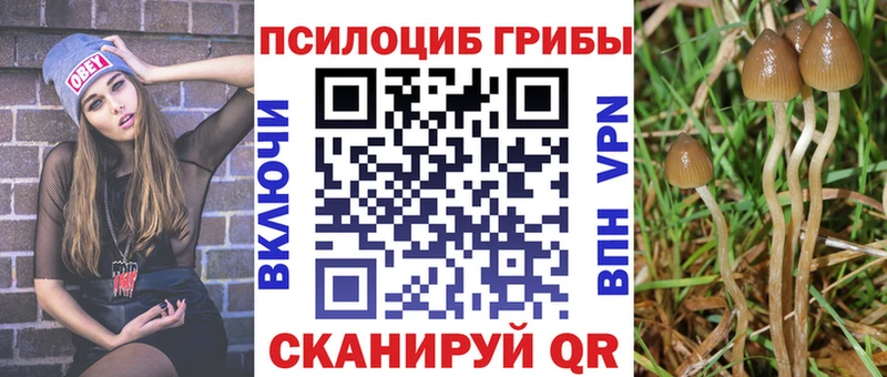 Галлюциногенные грибы мицелий  Жердевка 